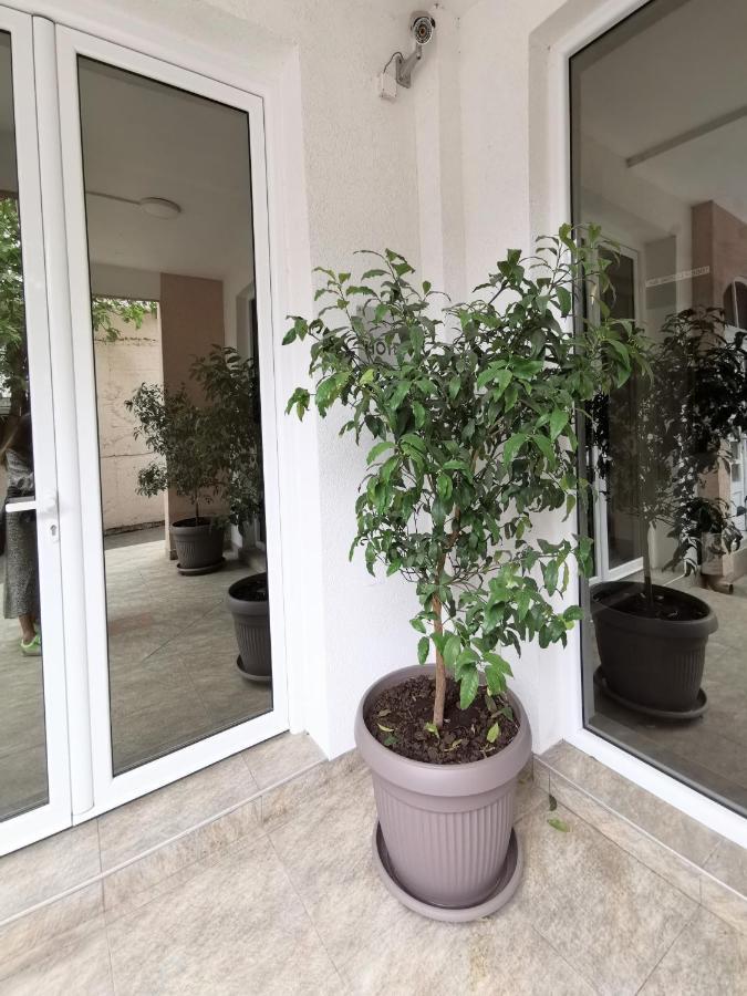 Hotel Suzana Lux Budva Exterior foto